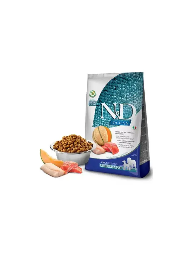 N&D Ocean Somon Morina&Kavun Adult Med&Maxı 12 Kg - 1