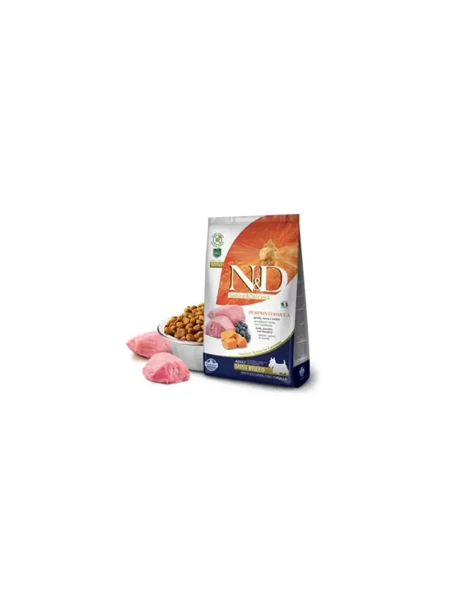 N&D Pumpkın, Kuzu & Yaban Mersini Adult Mını 7 Kg - 1