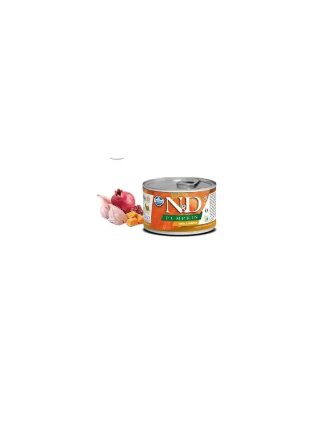 N&D Pumpkın Quaıl - Bıldırcın & Balkabağı Köpek Konserve 140 Gr - 1