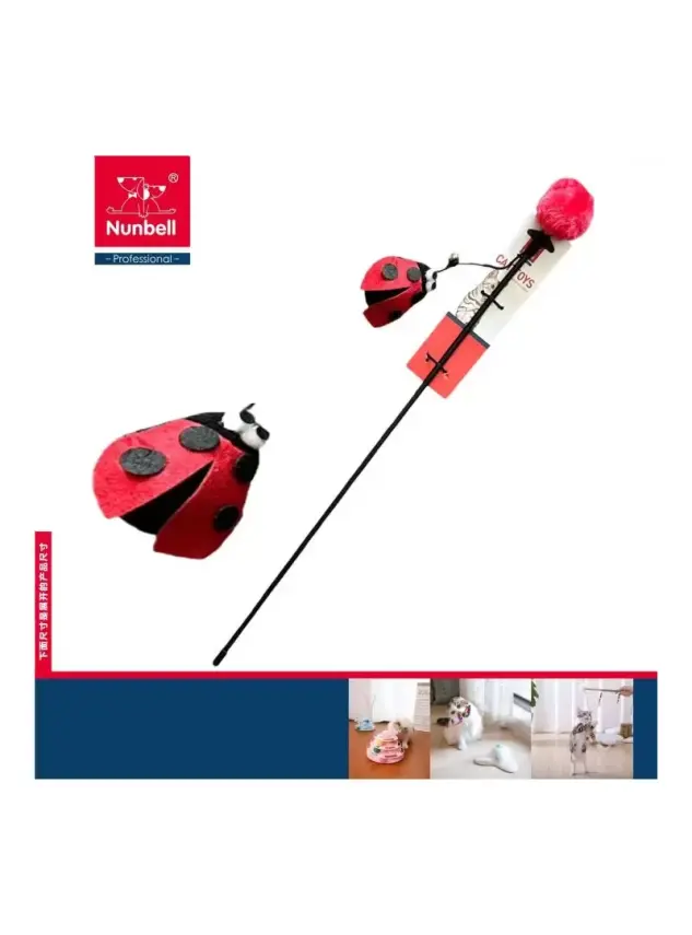 Nunbell Kedi Oltası Ugur Böcegi - 1