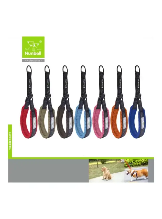 Nunbell Köpek Boyun Tasması 2.5Cm - 1