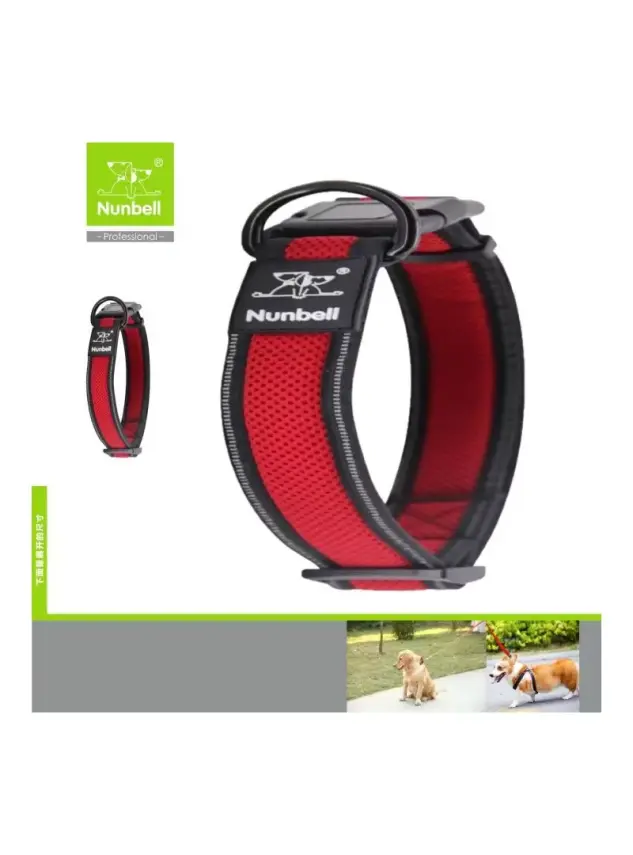 Nunbell Köpek Boyun Tasması Air-Mesh 3.8cm - 1