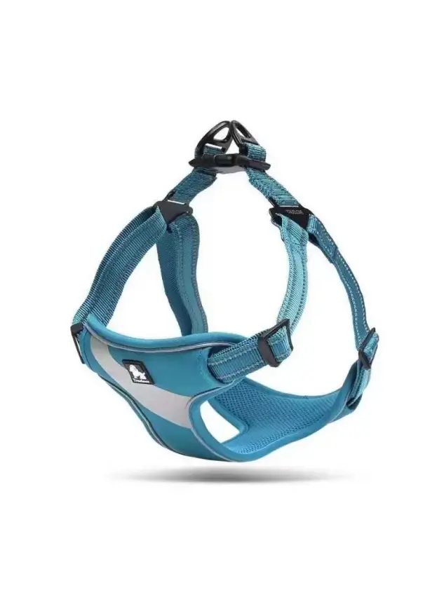 Nunbell Köpek Gögüs Tasmasi L - 1