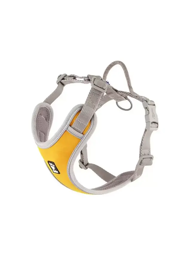 Nunbell Köpek Gögüs Tasmasi Xl - 1