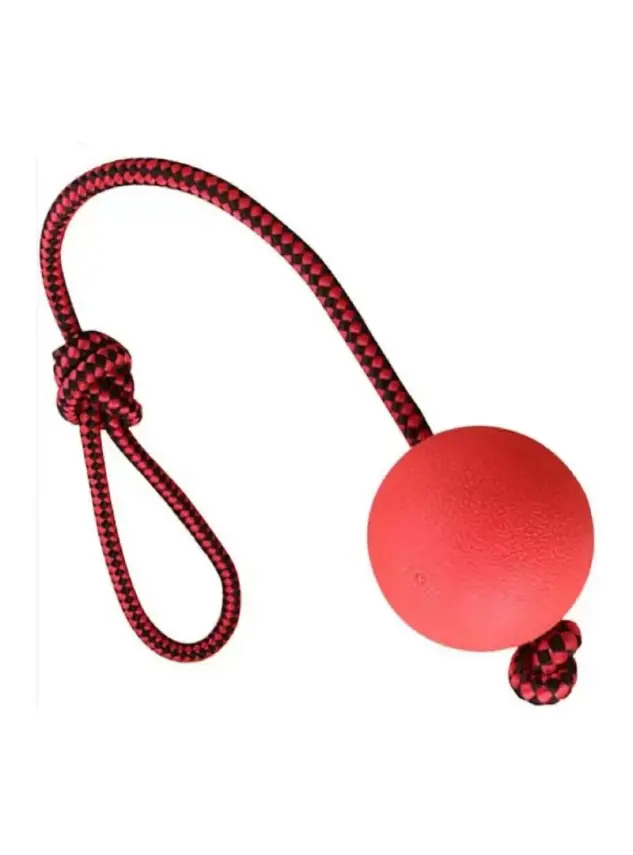 Nunbell Köpek Oyun. Sert Top 155gr - 1