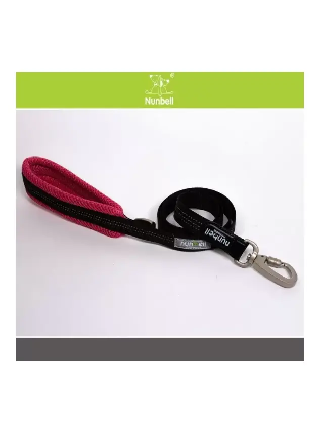 Nunbell Köpek Soft Gezdirme 2Cm - 1