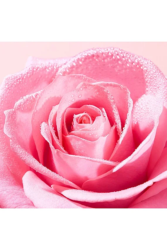 Nuxe Very Rose Yüz Temizleme Köpüğü 2x150 ml - 4
