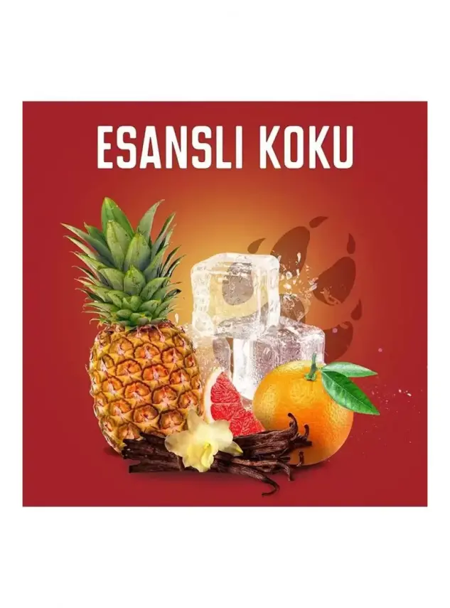 Old Spice Wolfthorn Erkekler Için Stick Deodorant 50 ml - 4