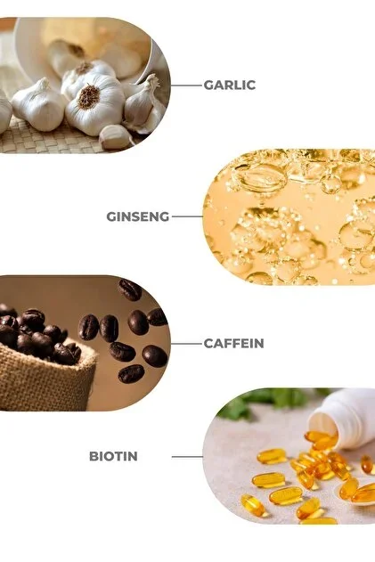 OUTLET - Zigavus Prolab Sarımsaklı Şampuan 300ml - 3