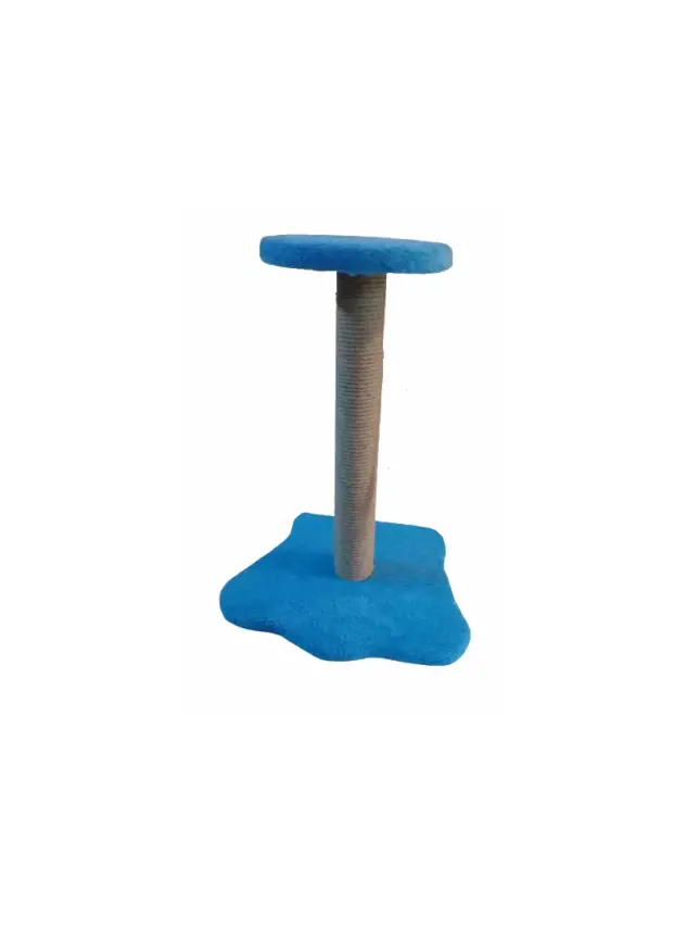 Patili Tırmalama - 1