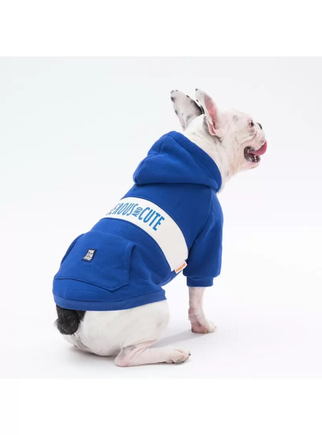 Paw Star 23705 Mavi Cute Hoodie - Paw Star