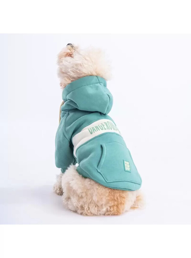 Paw Star 23707 Yeşil Cute Hoodie - Paw Star