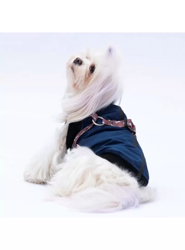 Paw Star 24106 Lacivert Nuuk Yelek - Paw Star