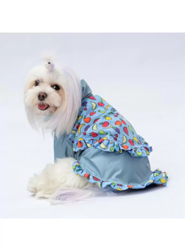 Paw Star 24514 Gri Victoria Yağmurluk - Paw Star