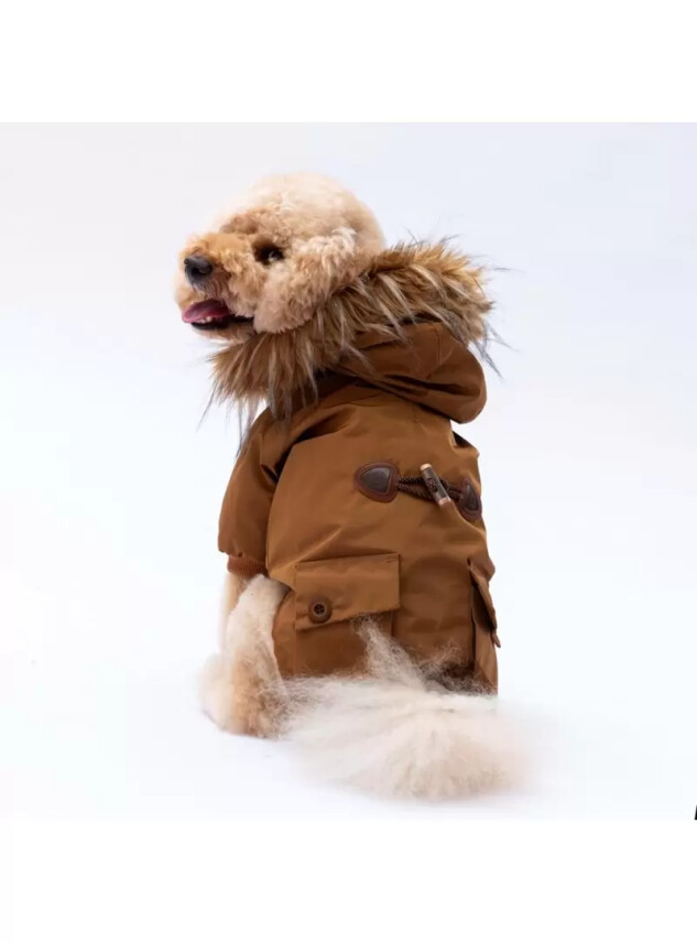 Paw Star 24515 Camel Charles Yağmurluk - Paw Star