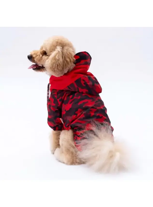 Paw Star 24524 Kırmızı Dijon Yağmurluk - 1