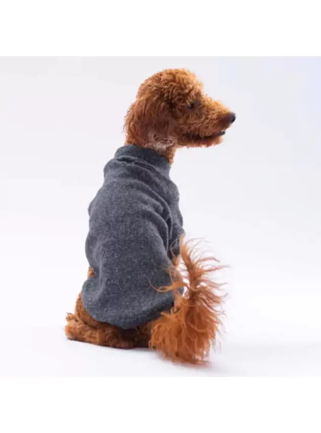 Paw Star 24722 Siyah Merino Sweat - 1