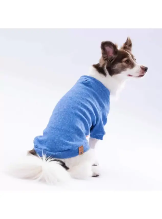 Paw Star 24723 Mavi Merino Sweat - 1