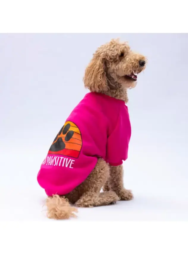 Paw Star 24757 Pembe Carmel Büyük Irk Sweat - 1