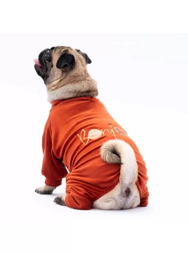 Paw Star 24916 Kiremit Angers Tulum - Paw Star