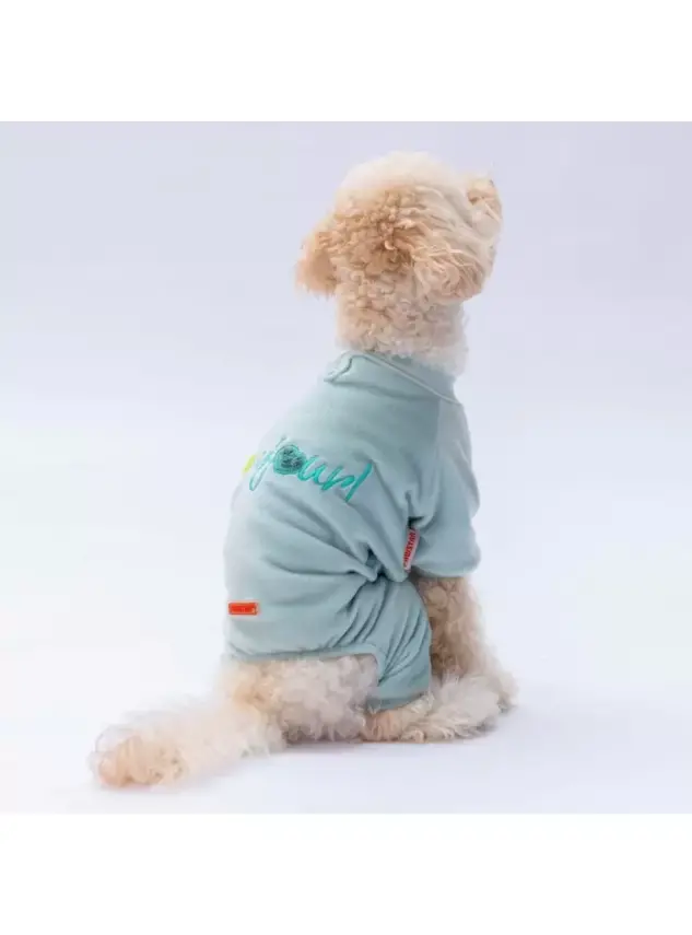 Paw Star 24917 Mint Angers Tulum - 1