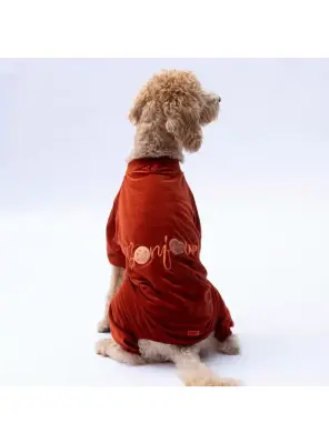 Paw Star 24952 Kiremit Angers Büyük Irk Tulum - Paw Star