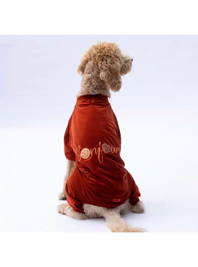 Paw Star 24952 Kiremit Angers Büyük Irk Tulum - Paw Star