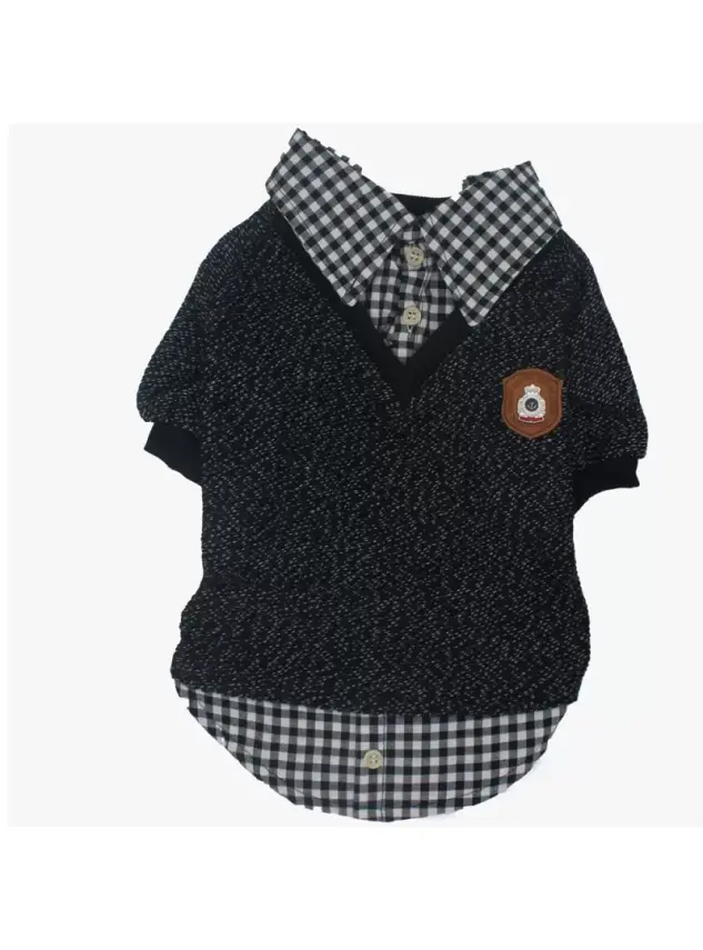 Paw Star Black College Köpek Kıyafeti L - 1