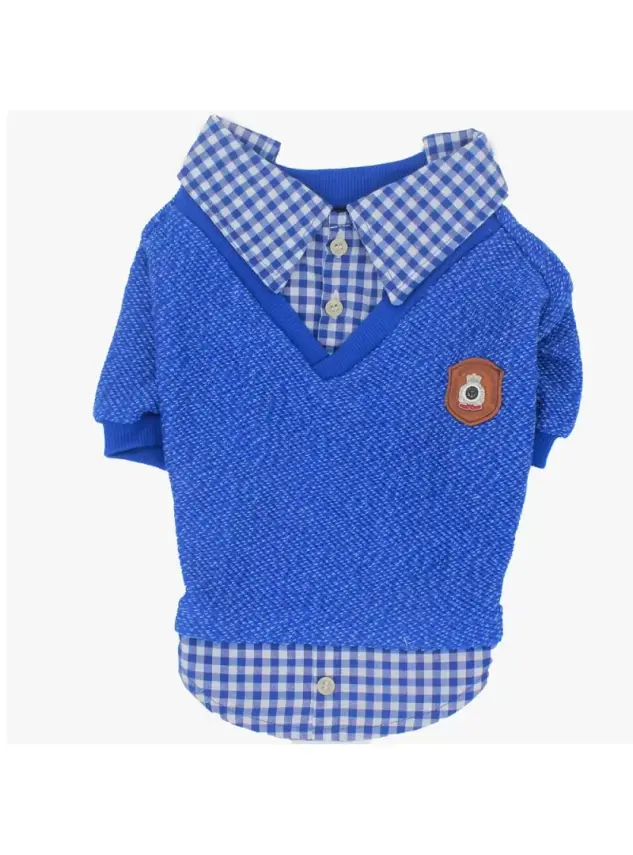 Paw Star Blue College Köpek Kıyafeti L - 1