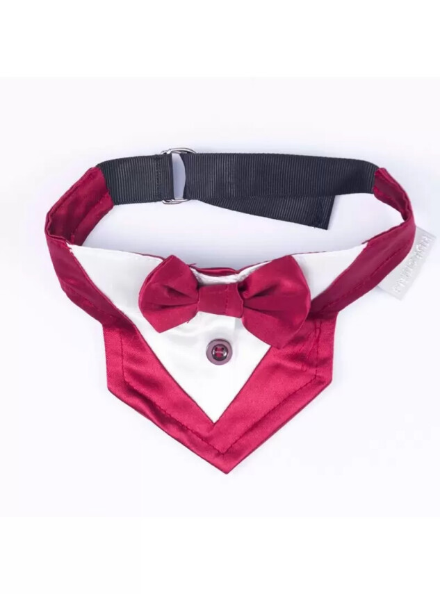 Paw Star Köpek Smokin Papyon - Paw Star