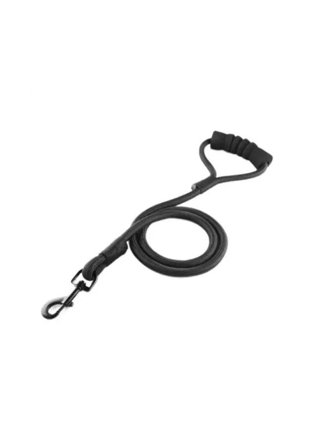 Pet Ing Fitil Köpek Gezdirme Siyah 1*120 cm - 1