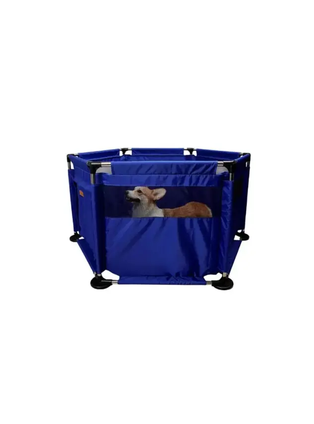 Pet Park Vr01 Mavi - 1