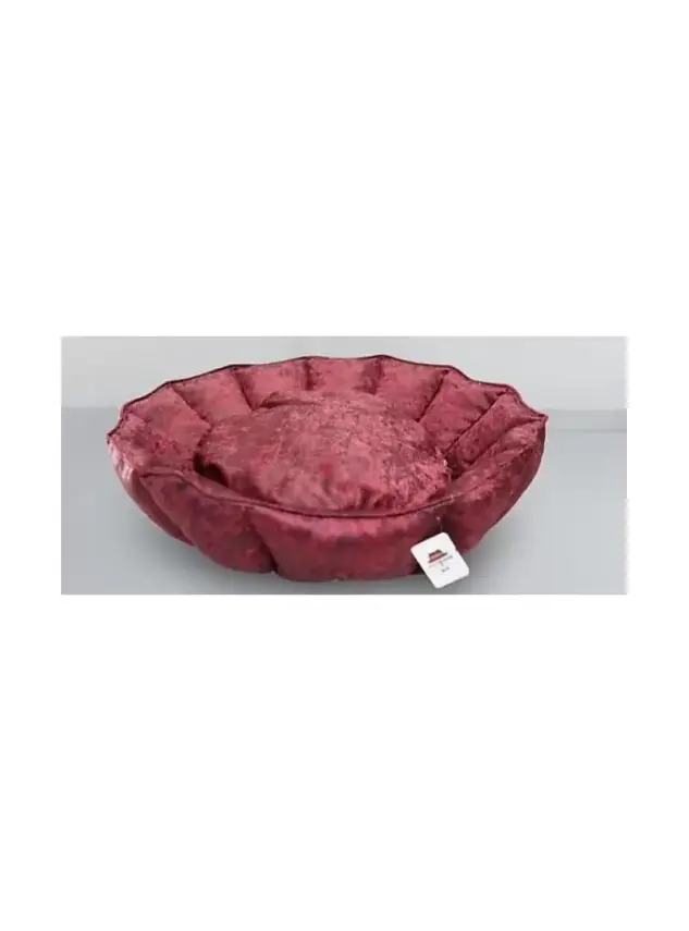 Petboss İstiridye Yatak M 70 cm - 1