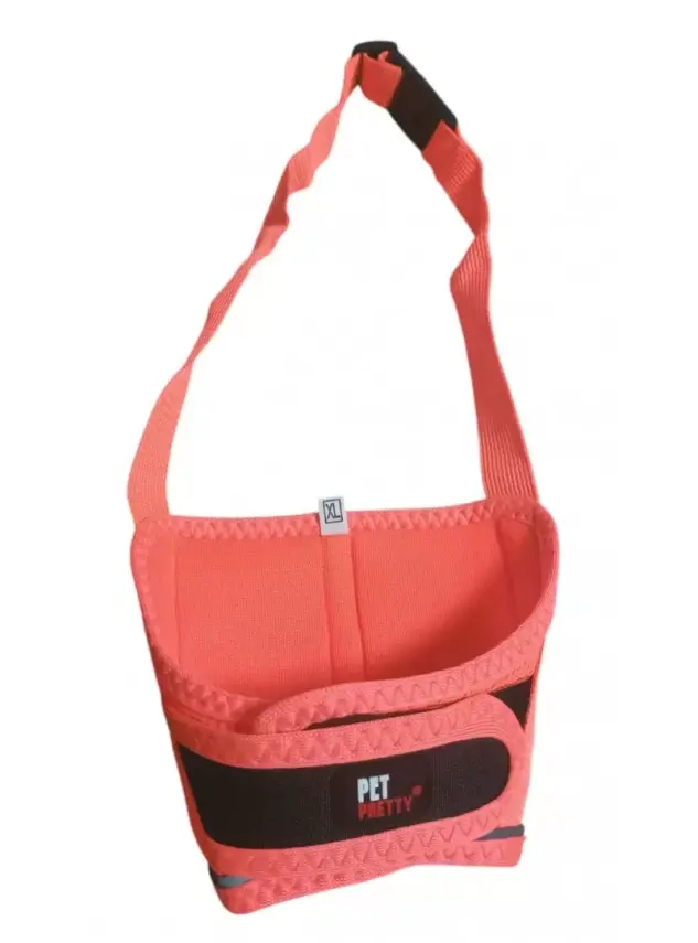PETPRETTY AĞIZLIK (XL) - 1