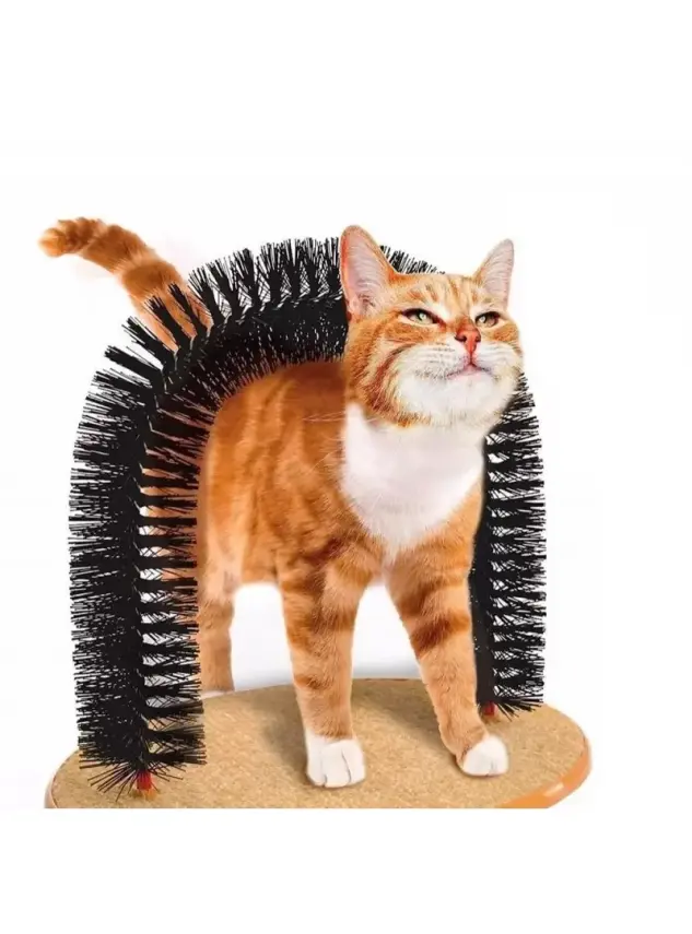 Purrfect Arch Kedi Kaşıma Aparatı - 1