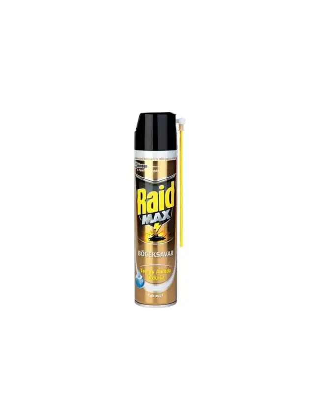 Raid Böceksavar Max 300 ml - 1