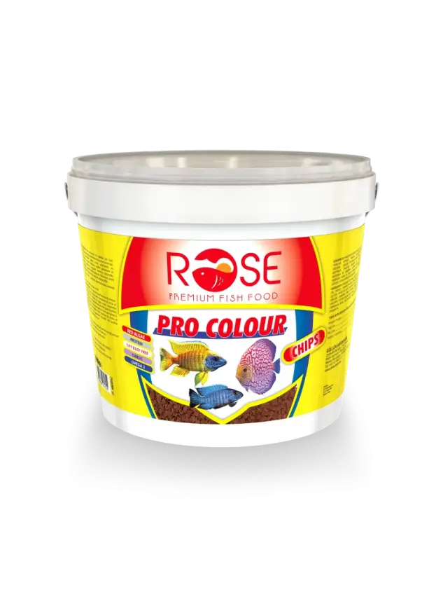 Rose Pro Colour Chıps 2400 Gr - 1