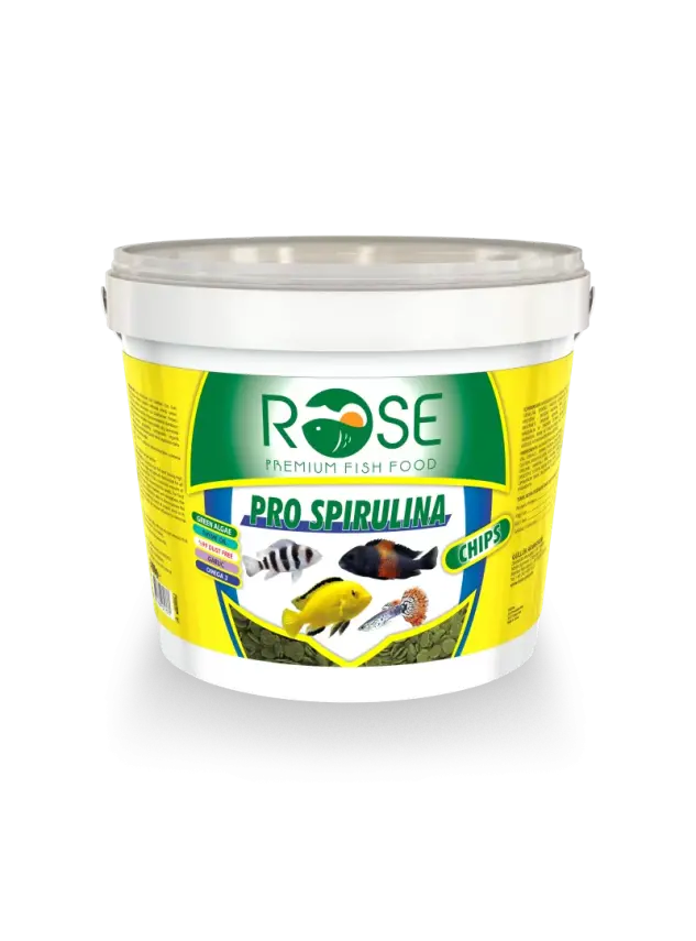 Rose Pro Spırulına Chıps 2400 Gr - 1