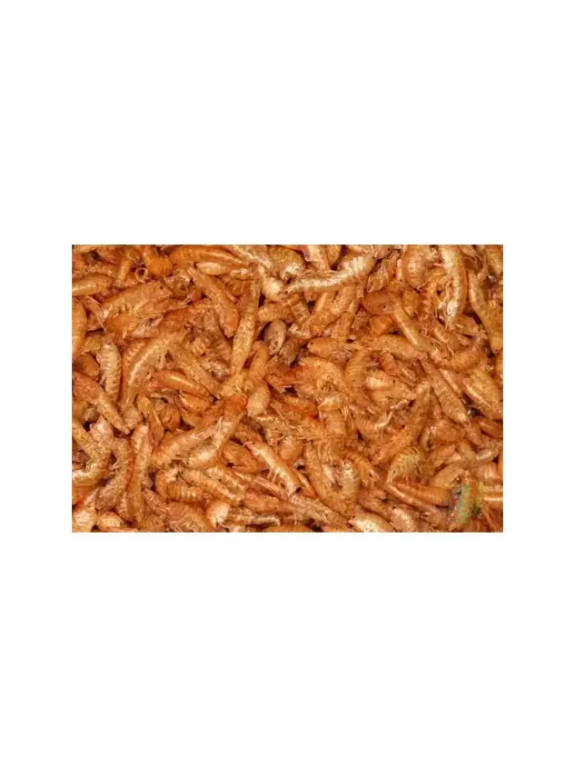 Rotifish Gammarus 1Kg - 1