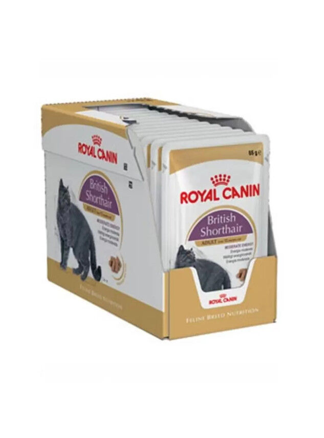 Royal Canin Fbn Brit Shorth 12*85 - Royal Canin