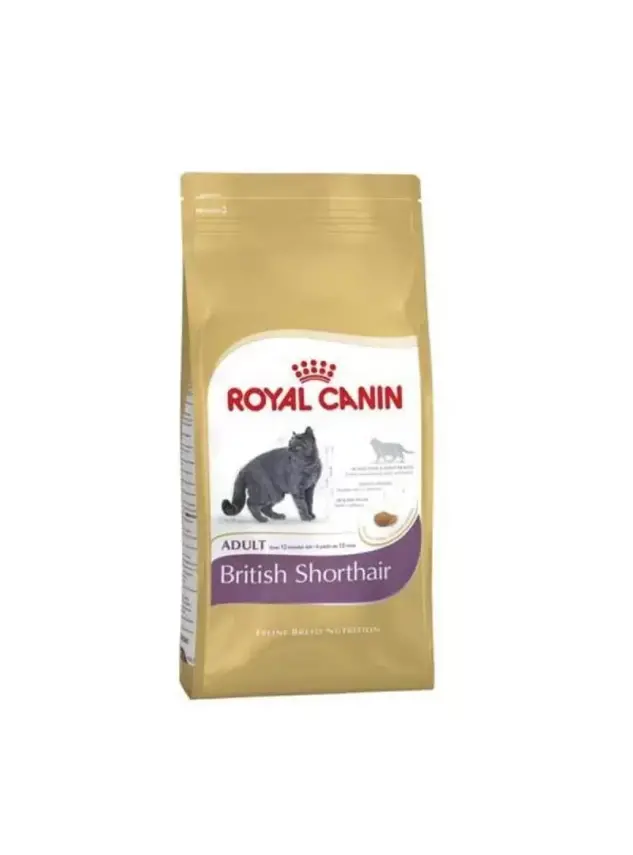 Royal Canin Fbn Brit Shorthair 4K - 1