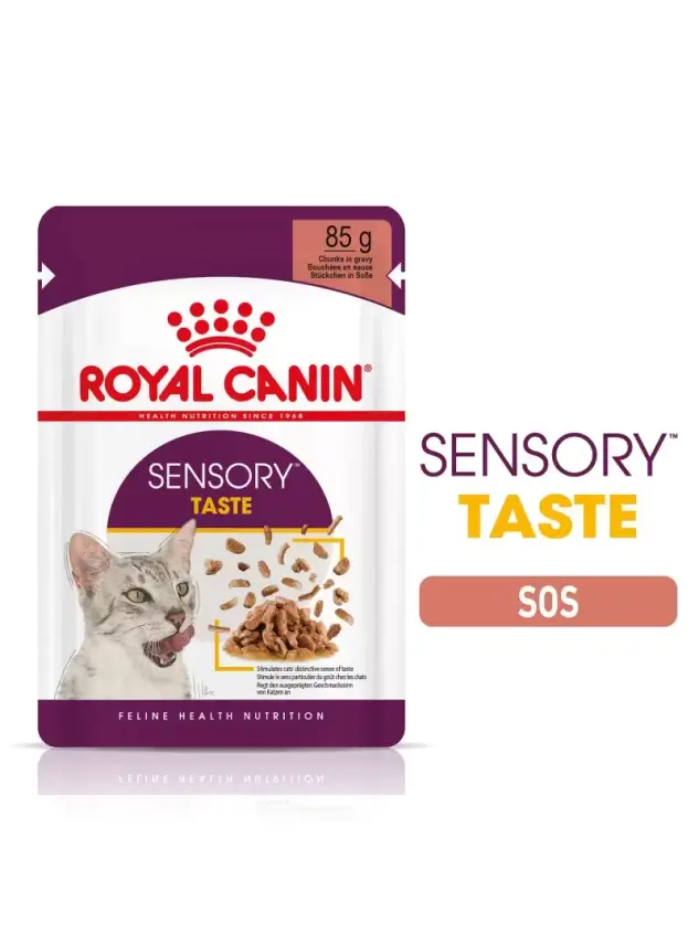 Royal Canin Fhn Sensory Taste Gravy 85 gr - 1