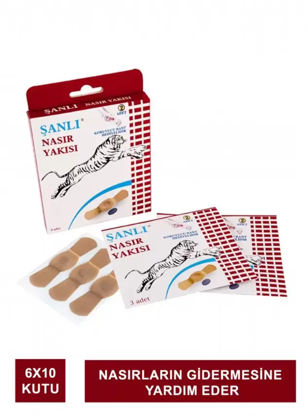 Şanlı Nasır Yakısı 6 Adet x 10 Kutu - 2