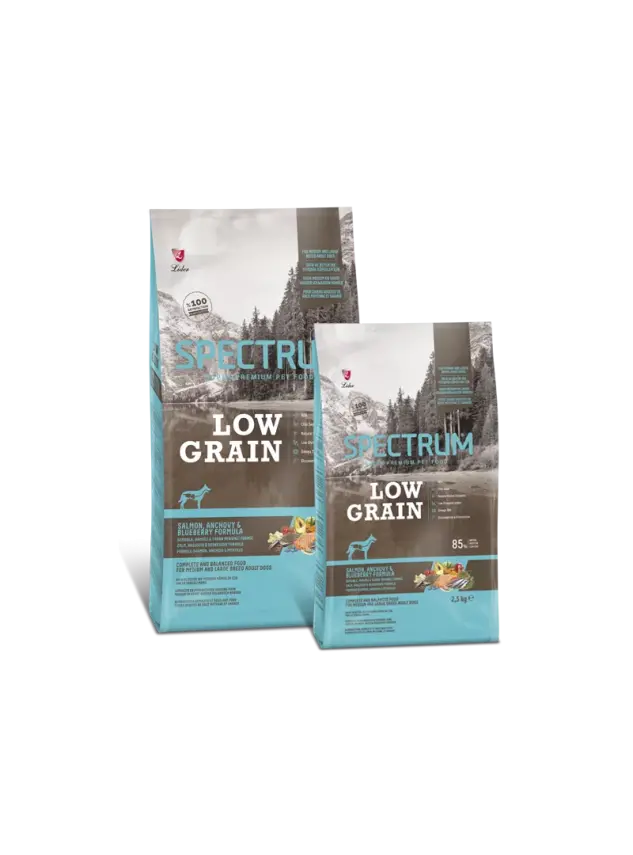 Spc Lg Salmon&Anchovy Medıum And Large Breed Adult Dogs 12 kg - 1