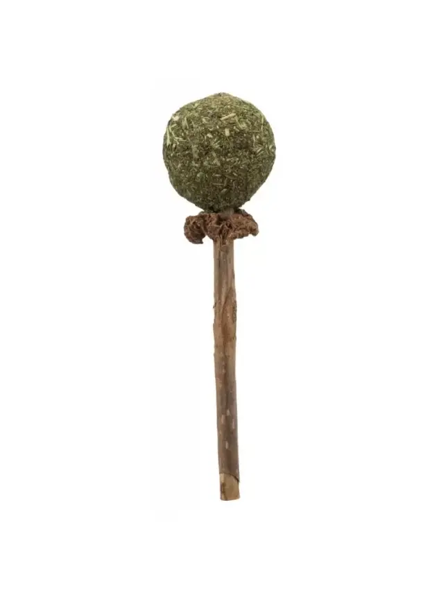 Trixie Kedi Oyuncağı, Matatabi Ve Kediotlu, 11Cm - 1