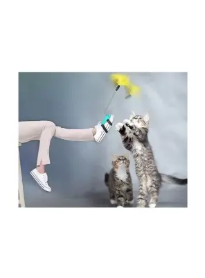 Welfare Ayağa Takılan Olta - Asia