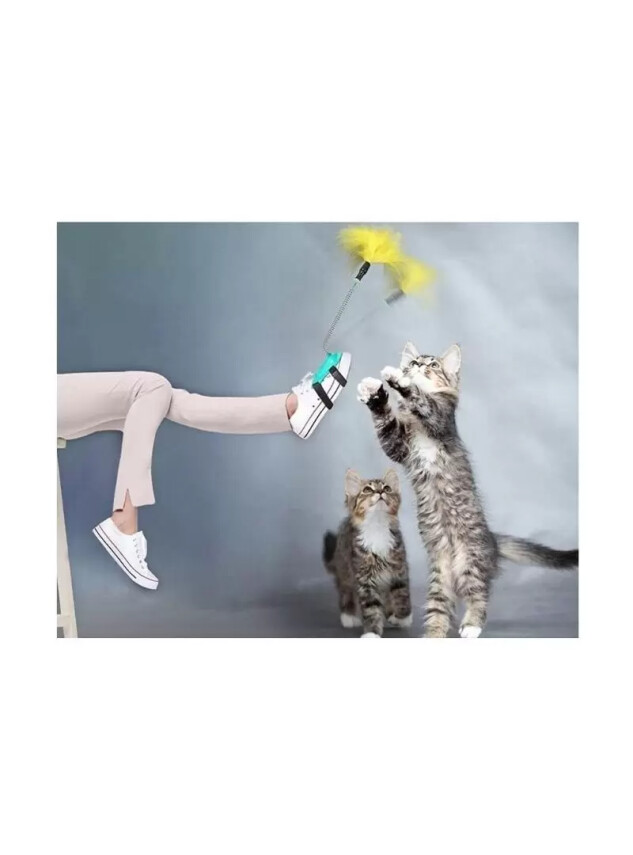 Welfare Ayağa Takılan Olta - Asia