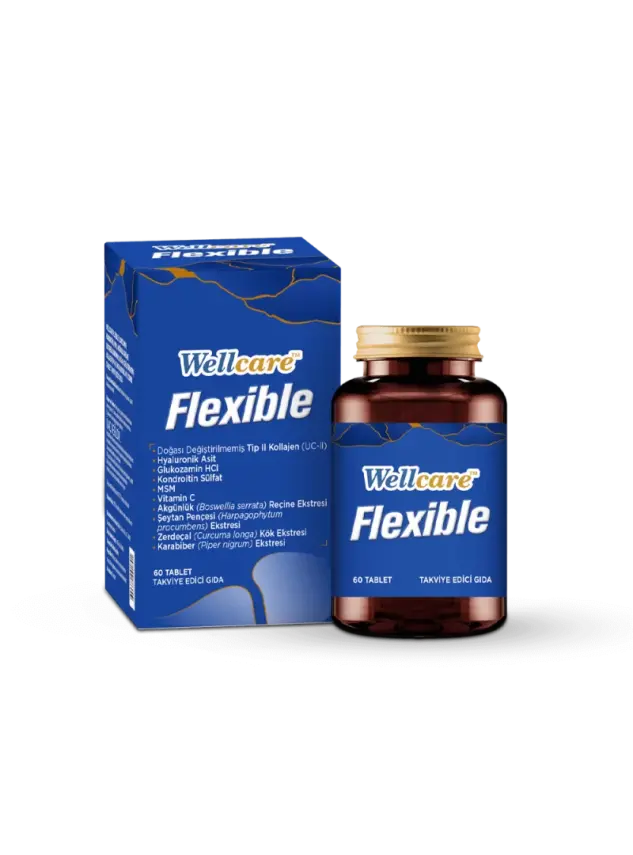 Wellcare Flexible 60 Tablet - 1