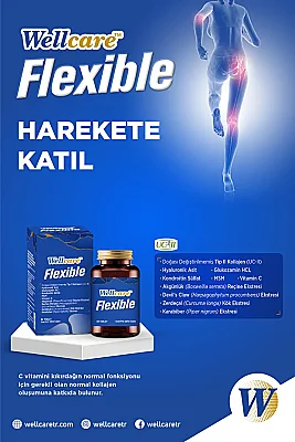 Wellcare Flexible 60 Tablet - 3