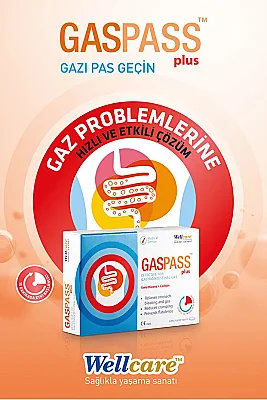 Wellcare Gaspass Plus 20 Tablet - 2